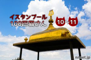 イスタンブールの坂道のある街に暮らす、2匹の仲良し猫