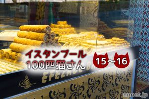 お店に入りたくてしかたない黒白さんと、茶白の子猫