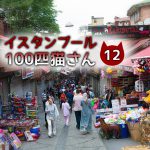 ベビーカーに猫さんが・・・!