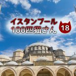 【連載】イスタンブール100匹猫さん 18匹目「店の前で熟睡するキジ白さん」