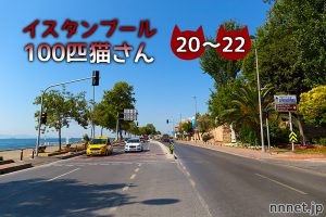 【連載】イスタンブール100匹猫さん 20~22匹目「路地裏の3匹の猫」