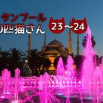 【連載】イスタンブール100匹猫さん 23~24匹目「カバン屋さんまわりの猫たち」