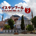 イスタンブールの雑貨街。溝にはまるチャトラくん・・・