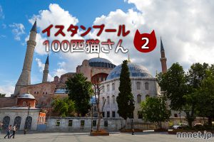 イスタンブールの雑貨街。溝にはまるチャトラくん・・・