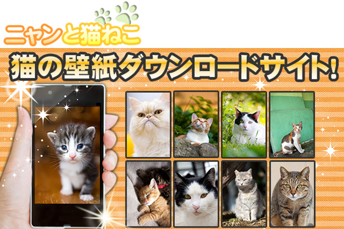 ニャンと猫ねこ