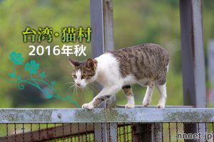 猫村・ホウトンの駅舎まわり~【連載】台湾・猫村を旅する①2016年秋~