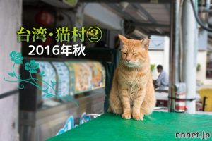 猫村で、自由に暮らす猫たち~【連載】台湾・猫村を旅する②2016年秋~