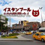 「どっしり太めのキジトラさん」~【連載】イスタンブールの100匹猫さん 32匹目
