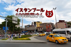「どっしり太めのキジトラさん」~【連載】イスタンブールの100匹猫さん 32匹目