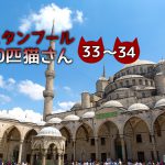 「寝ているの?寝ていないの?」~【連載】イスタンブールの100匹猫さん 33~34匹目