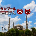 【連載】イスタンブール100匹猫さん 25~26匹目「仕事場のキジトラさんたち」