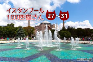 たくさんのキャットフード【連載】イスタンブールの100匹猫さん 27~31匹目