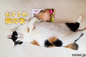 おすすめ！猫好きの方におすすめする、可愛い猫の本