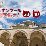 モスクで出会った3匹の猫たち~【連載】イスタンブールの100匹猫さん 38~40匹目