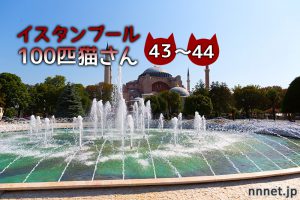 熟睡していた長毛さんたち~【連載】イスタンブールの100匹猫さん 43~44匹目