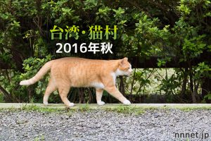 かわいい猫がたくさん!どこか懐かしい「台湾・猫村」画像20枚