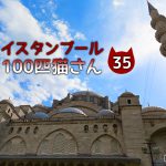 どこまでもついてくるキジトラさん~【連載】イスタンブールの100匹猫さん 35匹目