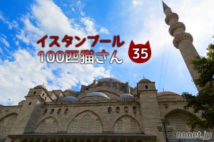 どこまでもついてくるキジトラさん～【連載】イスタンブールの100匹猫さん 35匹目