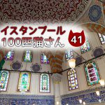道端でおすわり♪キジ白さん~【連載】イスタンブールの100匹猫さん 41匹目