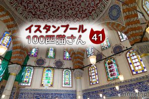 道端でおすわり♪キジ白さん~【連載】イスタンブールの100匹猫さん 41匹目