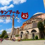 グランドバザール(HAN)の喫茶店にいた仔猫さん~【連載】イスタンブールの100匹猫さん 42匹目