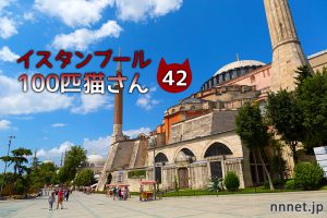 グランドバザール(HAN)の喫茶店にいた仔猫さん~【連載】イスタンブールの100匹猫さん 42匹目
