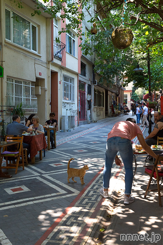 イスタンブールの猫