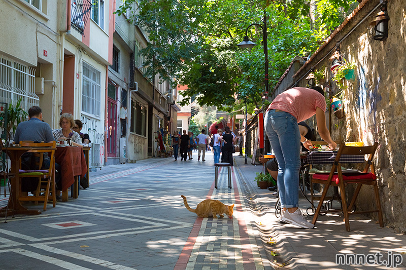 イスタンブールの猫