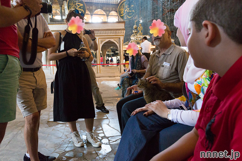 アヤソフィア グリ