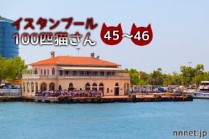 お年寄りなの?病気なの?~【連載】イスタンブールの100匹猫さん 45~46匹目