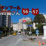 ピザ屋さんの前の2匹【連載】イスタンブールの100匹猫さん 56~57匹目