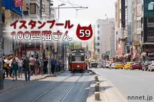 ランチをとっていると足元に猫が・・・【連載】イスタンブールの100匹猫さん 59匹目