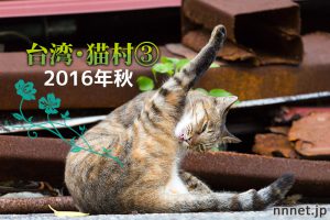 山側の猫たち~【連載】台湾・猫村を旅する③2016年秋~