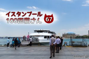 キャラクターみたいな長毛黒白さん【連載】イスタンブールの100匹猫さん 67匹目