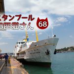 ここは水のバー?【連載】イスタンブールの100匹猫さん 68匹目
