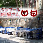 カフェで団欒!【連載】イスタンブールの100匹猫さん 69~72匹目