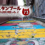 カラフル階段の長毛黒白さん【連載】イスタンブールの100匹猫さん 73匹目