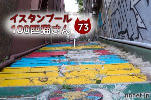 カラフル階段の長毛黒白さん【連載】イスタンブールの100匹猫さん 73匹目