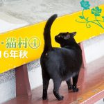 猫村の山側にはお店がたくさん!【連載】台湾・猫村を旅する④2016年秋~