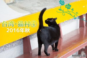 猫村の山側にはお店がたくさん！【連載】台湾・猫村を旅する④2016年秋～