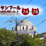 5匹のやんちゃな子猫とお母さん【連載】イスタンブールの100匹猫さん 74~78匹目