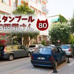 ジェスチャーで話しかけてきた青年のこと【連載】イスタンブールの100匹猫さん 80匹目