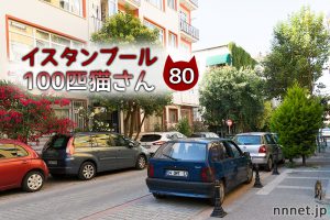 ジェスチャーで話しかけてきた青年のこと【連載】イスタンブールの100匹猫さん 80匹目