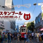 女子高生と遊ぶ黒白さん【連載】イスタンブールの100匹猫さん 81匹目