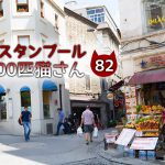 ザ・三毛猫さんを追跡!【連載】イスタンブールの100匹猫さん 82匹目