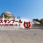 人見知りの白黒猫さん【連載】イスタンブールの100匹猫さん 87匹目