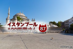 人見知りの白黒猫さん【連載】イスタンブールの100匹猫さん 87匹目