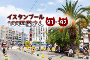 お店の前にいたキジトラ&茶白さん【連載】イスタンブールの100匹猫さん 91~92匹目