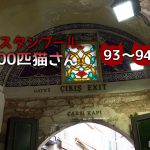 グランドバザール・入り口の猫たち【連載】イスタンブールの100匹猫さん 93~94匹目