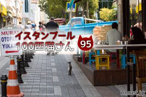 カフェで集まり、固まる猫たち・・・【連載】イスタンブールの100匹猫さん 95匹目